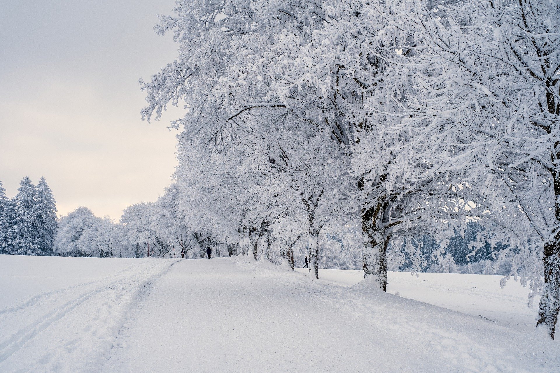 5 Great Games to Put You in the Winter Mood 5 Great Games to Put You in the Winter Mood
