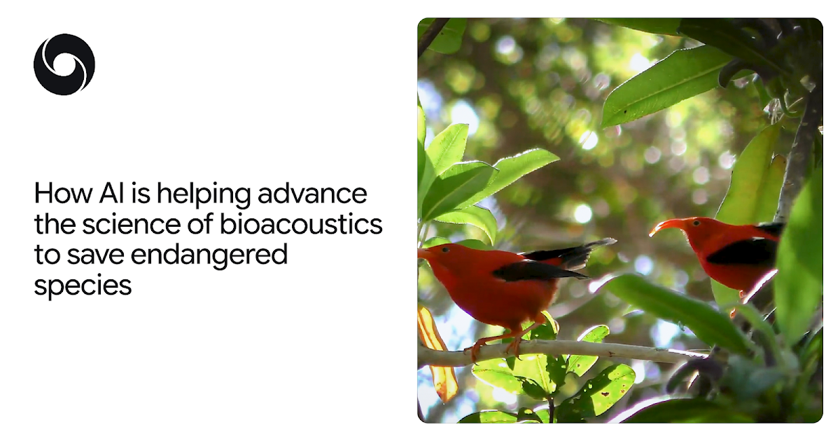 How AI is helping advance the science of bioacoustics to How AI is helping advance the science of bioacoustics to save endangered species