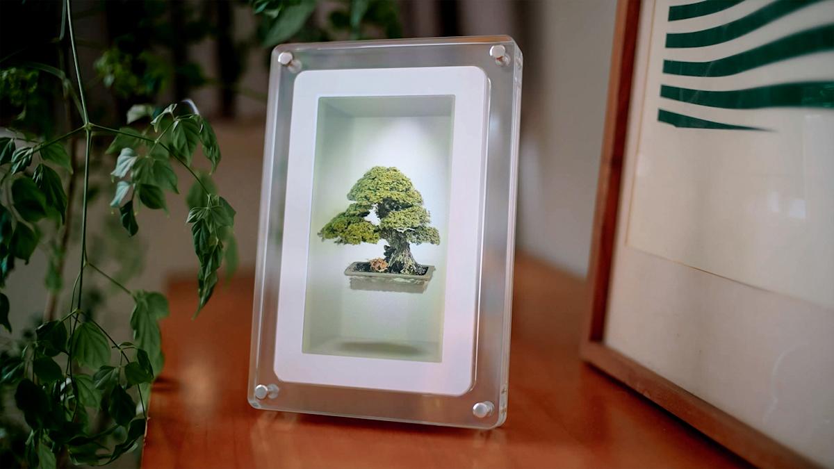 Looking Glass' Musubi showcases its holographic display in a consumer-friendly Looking Glass' Musubi showcases its holographic display in a consumer-friendly package