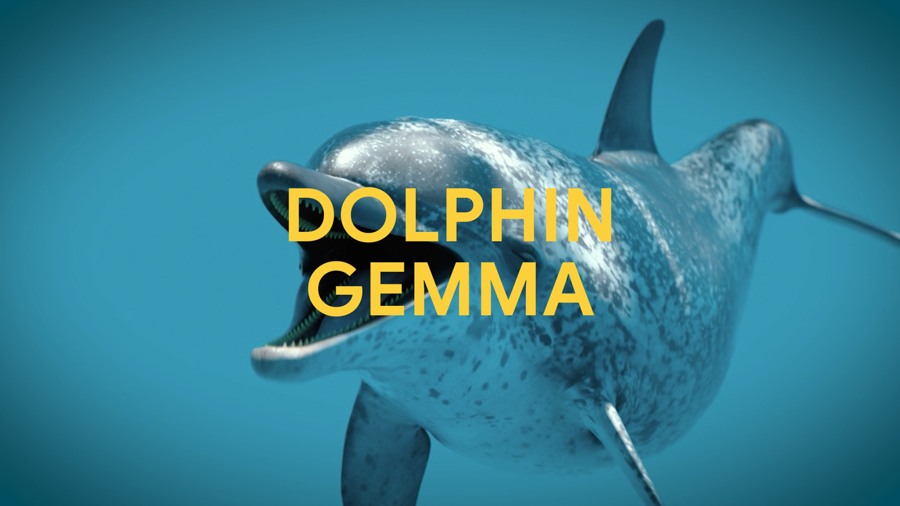 How AI can decipher dolphin communication How AI can decipher dolphin communication