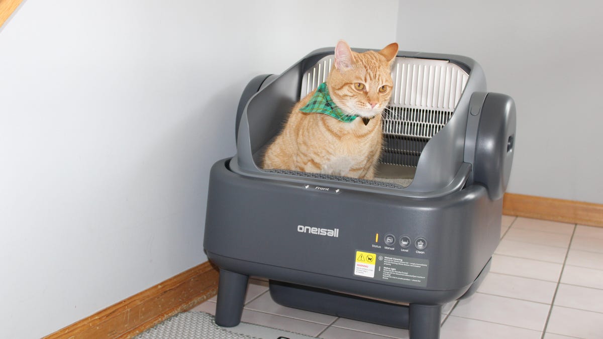 Oneisall Ease S1 review: Finally, a smart litter box that Oneisall Ease S1 review: Finally, a smart litter box that doesn't cost an arm and a paw