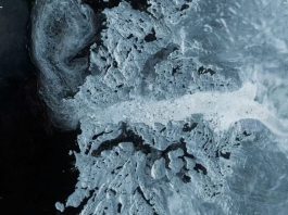 An Unmapped Region of Antarctica Could Be Harboring a Major Threat
